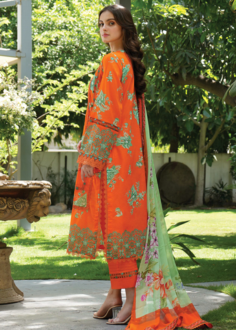 MEERAK SUMMER ARANCIA