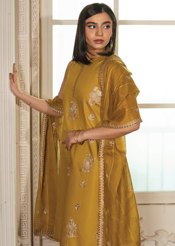MAH-E-NOOR -D-06