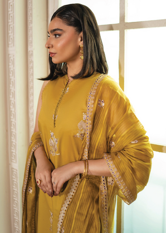 MAH-E-NOOR -D-06
