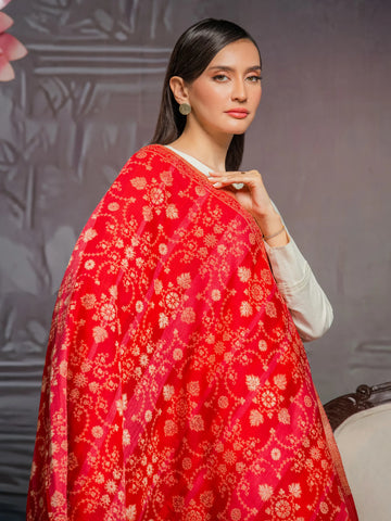 EDENROBE-Pashmina Jacquard Zari Shawl - EWMS5-005