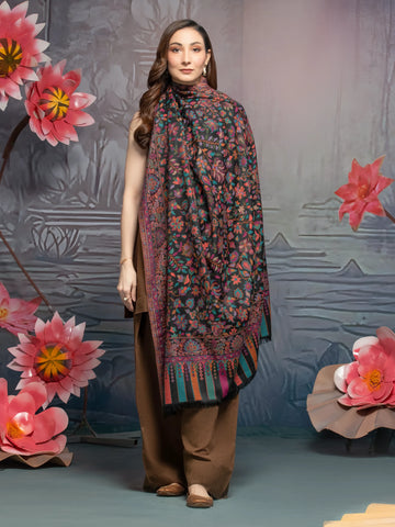 EDENROBE-Pashmina Jacquard Zari Shawl - EWMS5-033