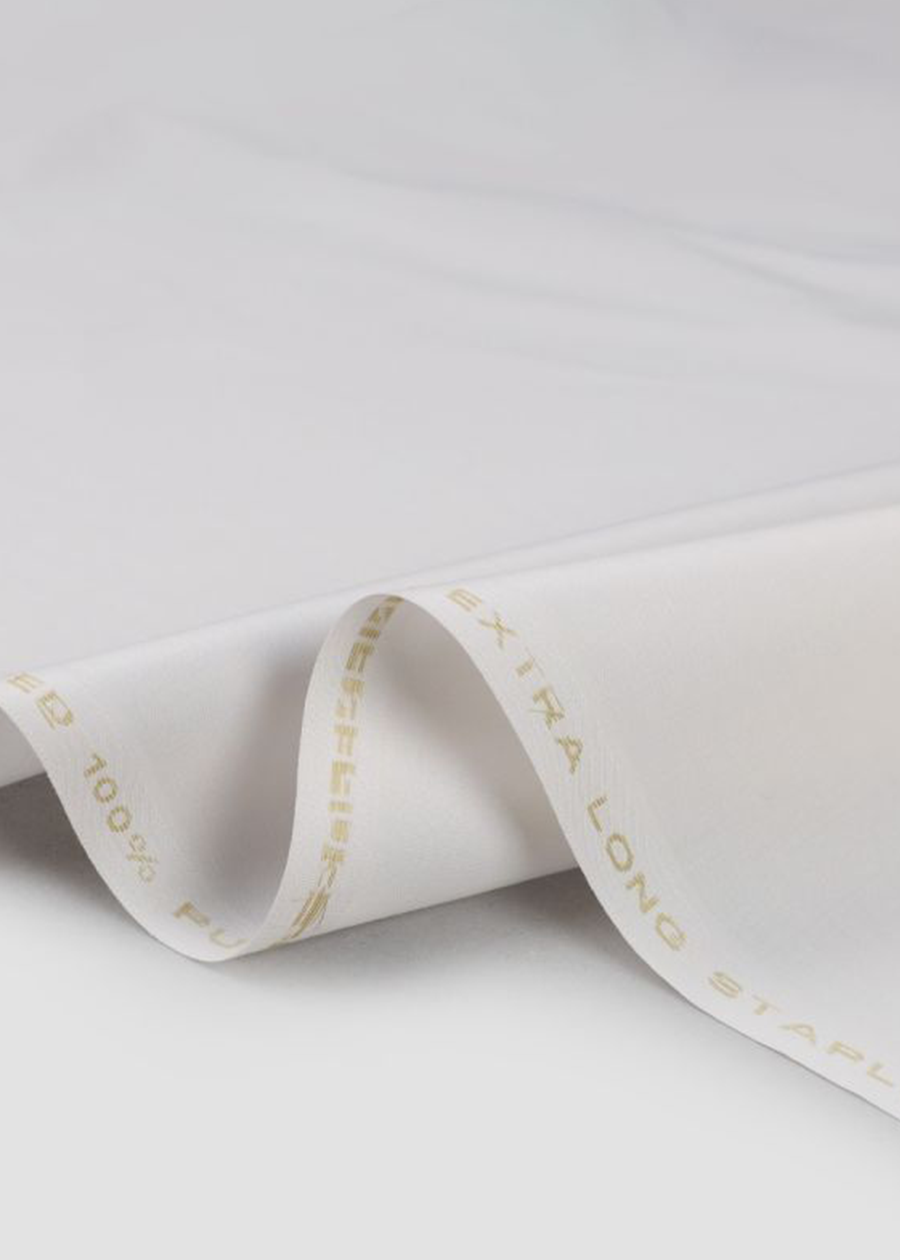 PASHA PREMIUM PLUS-123-ACADIA WHITE