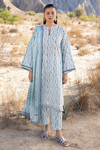 MUSCARI LUXURY CHIKANKARI COLELCTION D-33