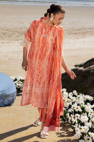 MUSCARI LUXURY CHIKANKARI COLELCTION D-34
