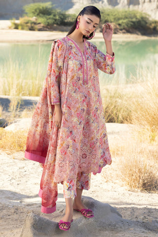 MUSCARI LUXURY CHIKANKARI COLELCTION D-37