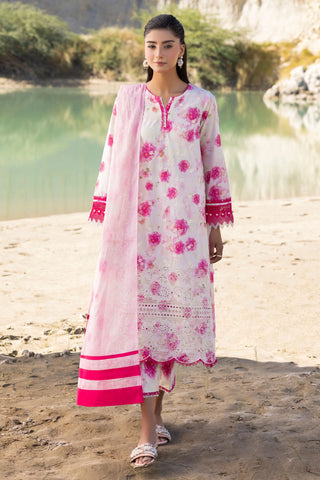 MUSCARI LUXURY CHIKANKARI COLELCTION D-30