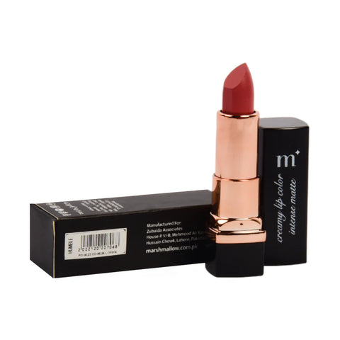 INTENSE LIPSTICK MOCHA
