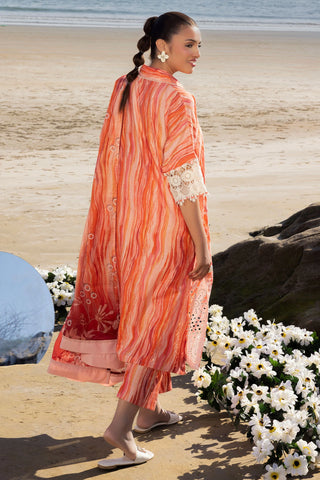 MUSCARI LUXURY CHIKANKARI COLELCTION D-34