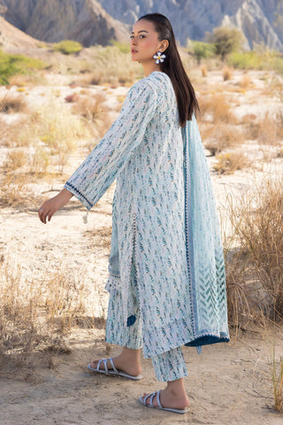 MUSCARI LUXURY CHIKANKARI COLELCTION D-33