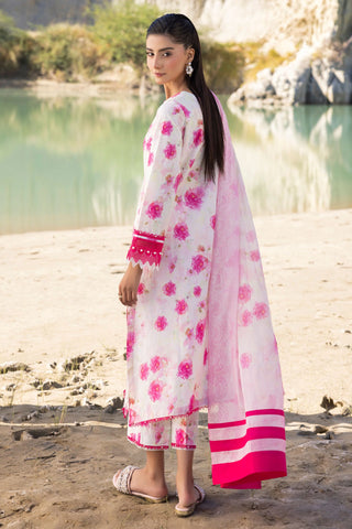 MUSCARI LUXURY CHIKANKARI COLELCTION D-30
