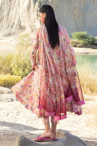 MUSCARI LUXURY CHIKANKARI COLELCTION D-37