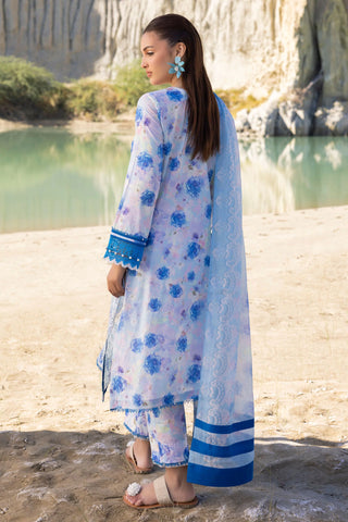 MUSCARI LUXURY CHIKANKARI COLELCTION D-31