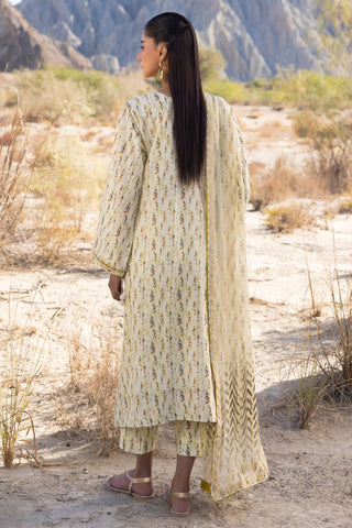 MUSCARI LUXURY CHIKANKARI COLELCTION D-32