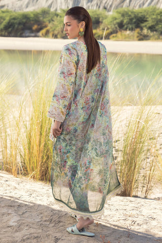 MUSCARI LUXURY CHIKANKARI COLELCTION D-36