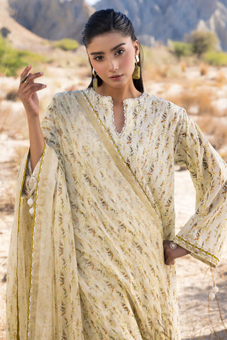 MUSCARI LUXURY CHIKANKARI COLELCTION D-32