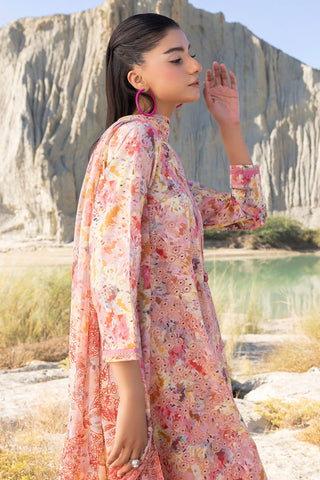 MUSCARI LUXURY CHIKANKARI COLELCTION D-37