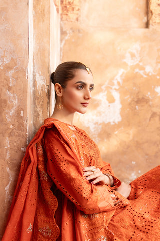 IRTIQA ALI LUXURY LAWN IA-14