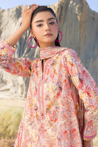 MUSCARI LUXURY CHIKANKARI COLELCTION D-37