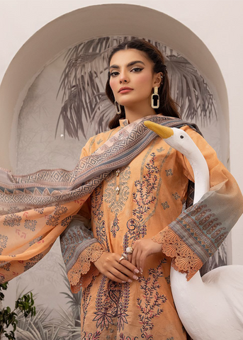 ELEENA BY SHAISTA D.No.582