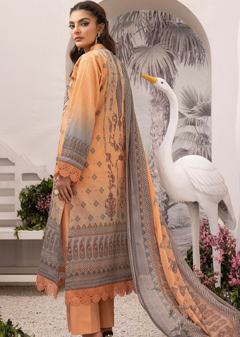 ELEENA BY SHAISTA D.No.582