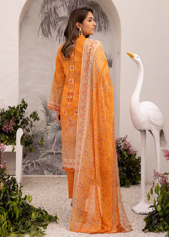 ELEENA BY SHAISTA D.No.585