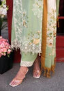 ELAF PREMIUM WINTER SHAWL EPW-4B-WHISPERS OF JOY