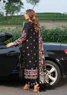 ELAF PREMIUM WINTER SHAWL EPW-8B BOUNDLESS DREAMS