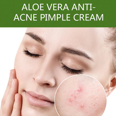 DR RASHEL ALOE VERA REPAIR ACNE SCARS 30G