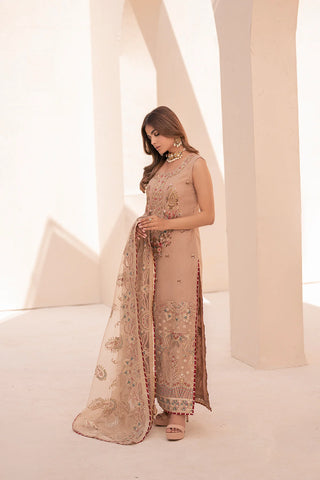 MIORAH BY HOUSE OF NAWAB -07-BINAH-B