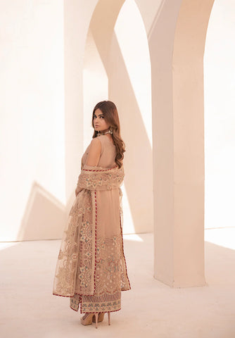 MIORAH BY HOUSE OF NAWAB -07-BINAH-B