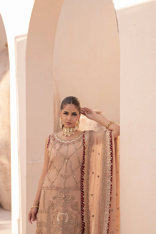 MIORAH BY HOUSE OF NAWAB -06-ZIDHAR-B