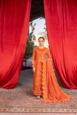 IRTIQA ALI LUXURY LAWN IA-14