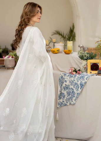Noor E Fajar - Apana 02 -NF-1311