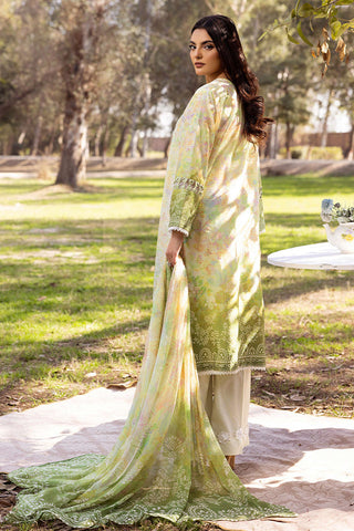 SHAISTA CHIKANKARI PRINT COLLECTION D-01