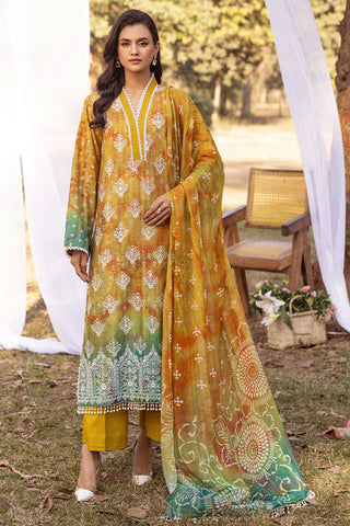 SHAISTA CHIKANKARI PRINT COLLECTION D-10