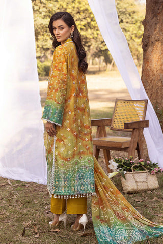 SHAISTA CHIKANKARI PRINT COLLECTION D-10