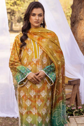 SHAISTA CHIKANKARI PRINT COLLECTION D-10