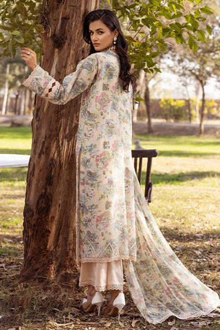 SHAISTA CHIKANKARI PRINT COLLECTION D-12