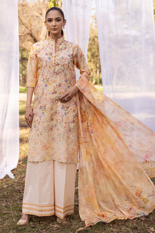 SHAISTA CHIKANKARI PRINT COLLECTION D-14