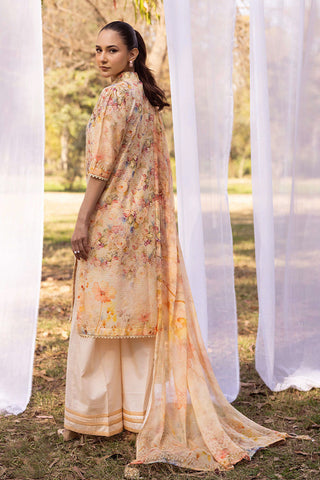 SHAISTA CHIKANKARI PRINT COLLECTION D-14