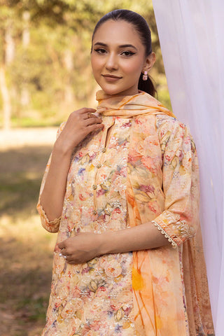 SHAISTA CHIKANKARI PRINT COLLECTION D-14