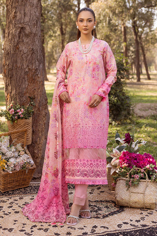 SHAISTA CHIKANKARI PRINT COLLECTION D-03