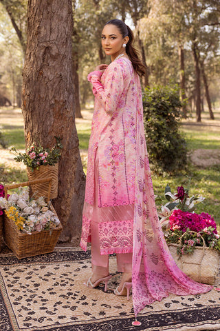 SHAISTA CHIKANKARI PRINT COLLECTION D-03
