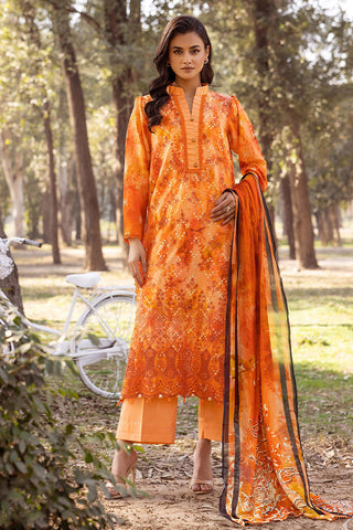 SHAISTA CHIKANKARI PRINT COLLECTION D-05