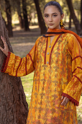 SHAISTA CHIKANKARI PRINT COLLECTION D-08