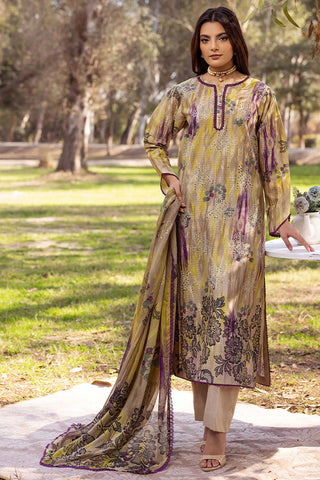 SHAISTA CHIKANKARI PRINT COLLECTION D-09
