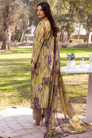 SHAISTA CHIKANKARI PRINT COLLECTION D-09