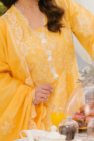 GUL AHMED -3 Piece Unstitched Embroidered Lawn Suit with Embroidered Denting Lawn Dupatta DN-52001