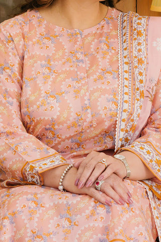 GUL AHMED -3 Piece Unstitched Printed Lawn Suit CL-52380 B