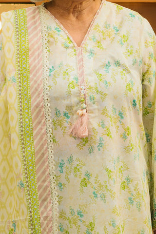 GUL AHMED -3 Piece Unstitched Printed Lawn Suit CL-52126 B